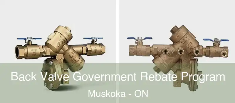  Back Valve Government Rebate Program Muskoka - ON