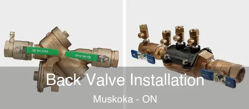  Back Valve Installation Muskoka - ON