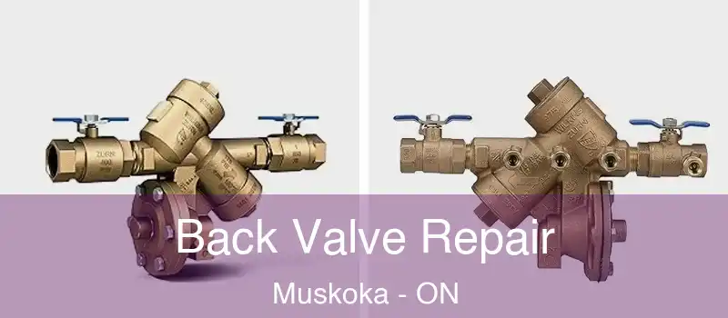  Back Valve Repair Muskoka - ON