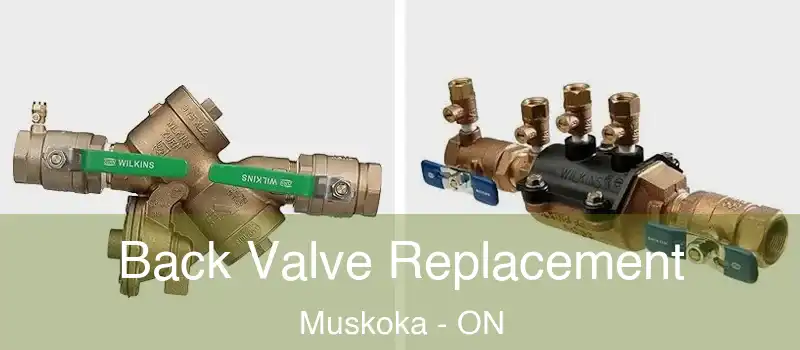  Back Valve Replacement Muskoka - ON
