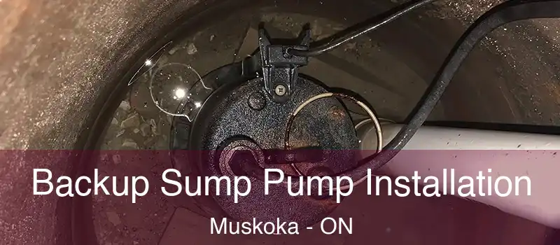  Backup Sump Pump Installation Muskoka - ON