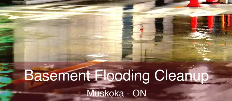  Basement Flooding Cleanup Muskoka - ON