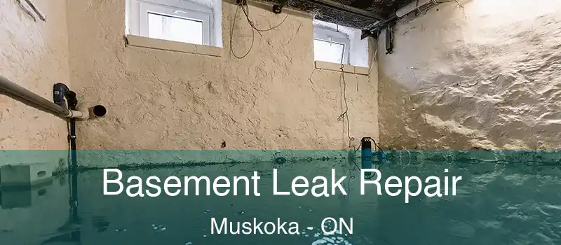  Basement Leak Repair Muskoka - ON