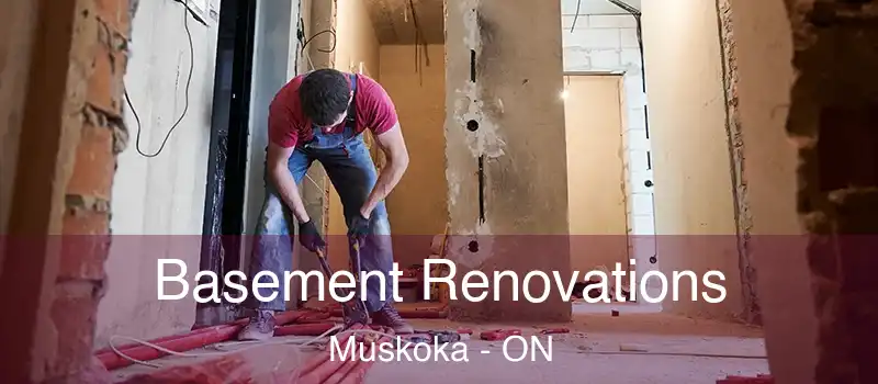  Basement Renovations Muskoka - ON