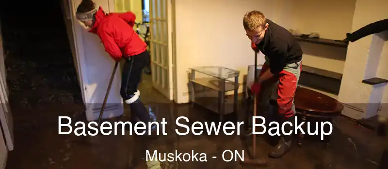  Basement Sewer Backup Muskoka - ON
