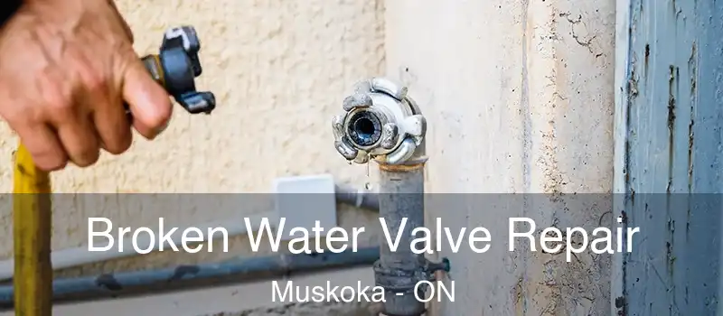  Broken Water Valve Repair Muskoka - ON