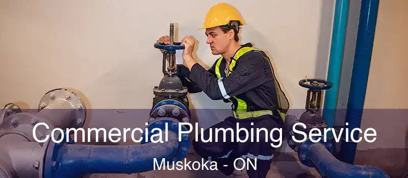  Commercial Plumbing Service Muskoka - ON