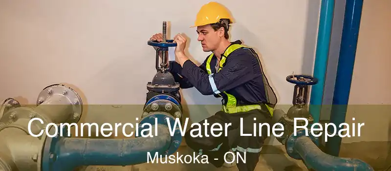  Commercial Water Line Repair Muskoka - ON