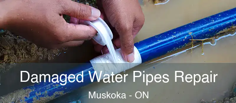  Damaged Water Pipes Repair Muskoka - ON