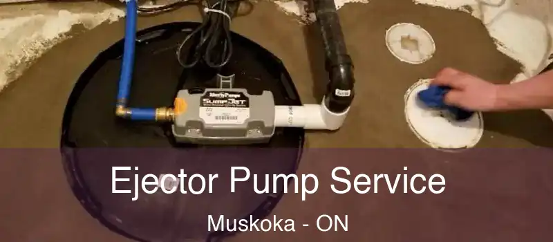  Ejector Pump Service Muskoka - ON