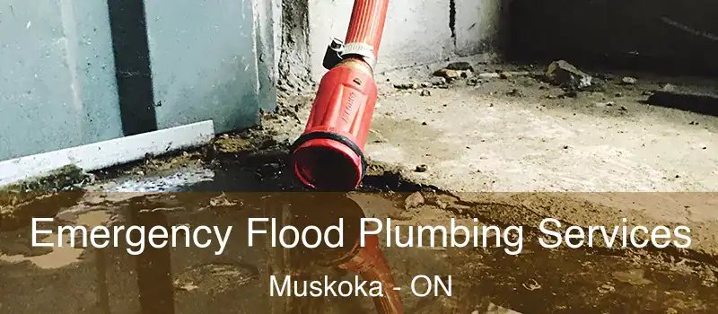  Emergency Flood Plumbing Services Muskoka - ON
