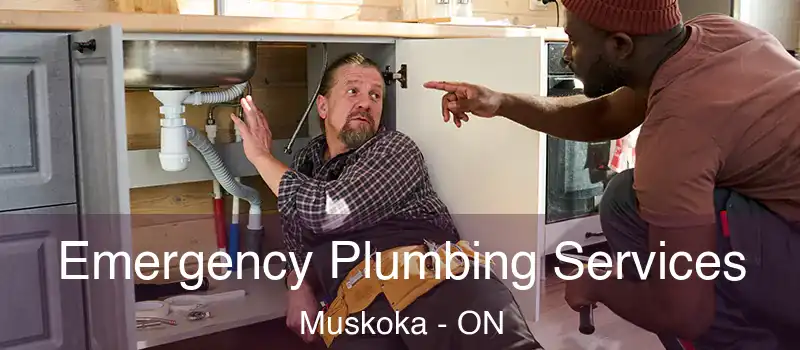  Emergency Plumbing Services Muskoka - ON
