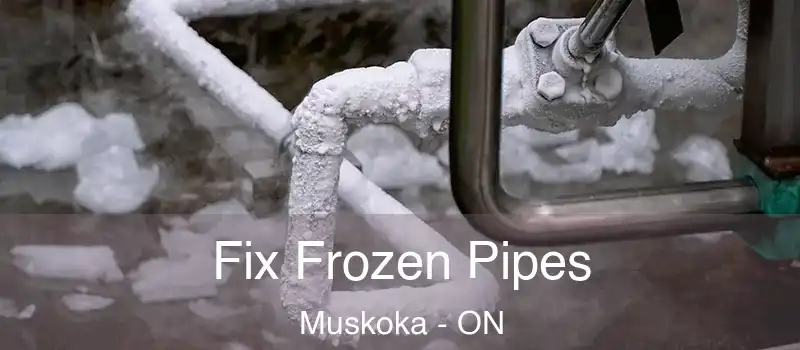  Fix Frozen Pipes Muskoka - ON