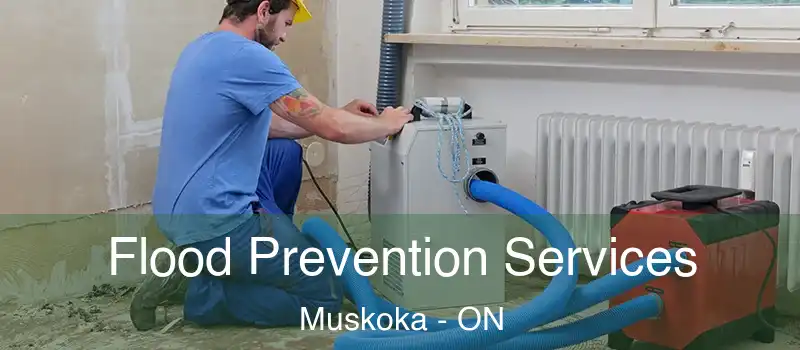  Flood Prevention Services Muskoka - ON