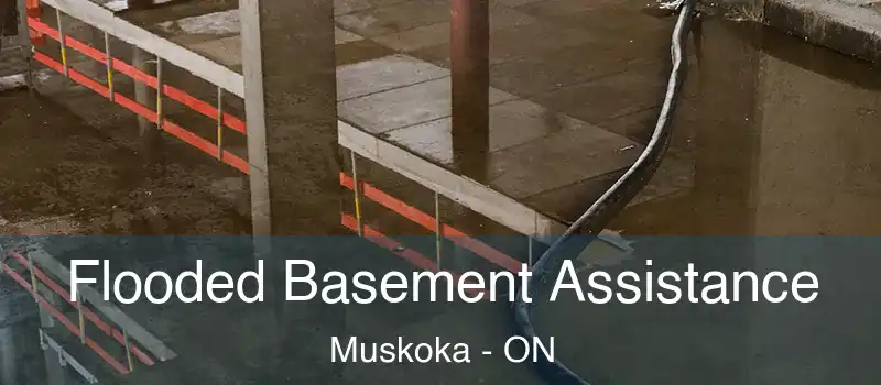  Flooded Basement Assistance Muskoka - ON