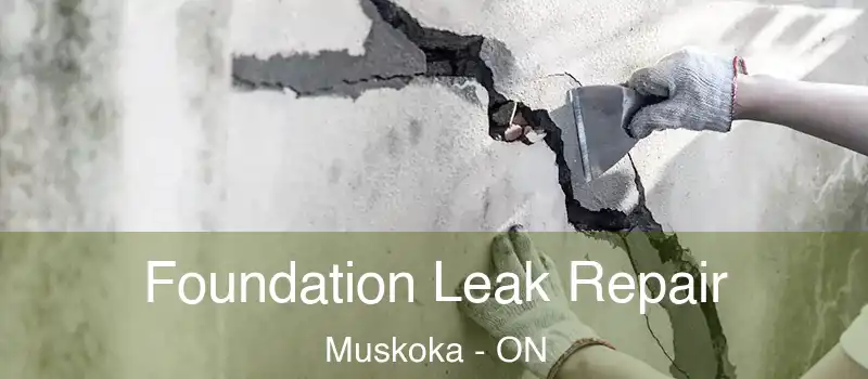  Foundation Leak Repair Muskoka - ON