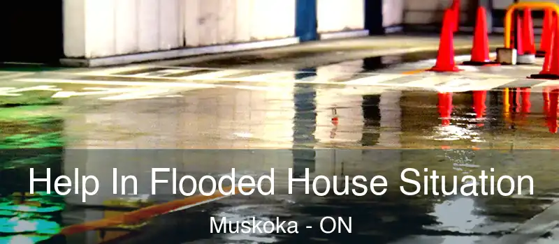  Help In Flooded House Situation Muskoka - ON