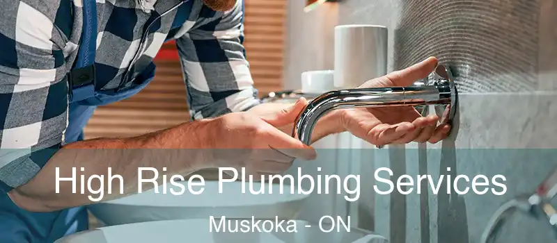  High Rise Plumbing Services Muskoka - ON