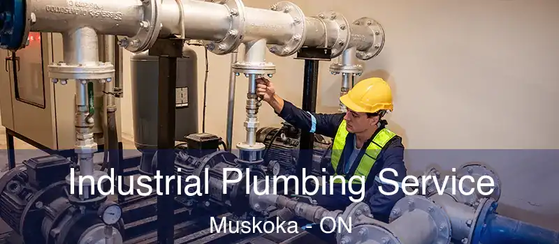 Industrial Plumbing Service Muskoka - ON