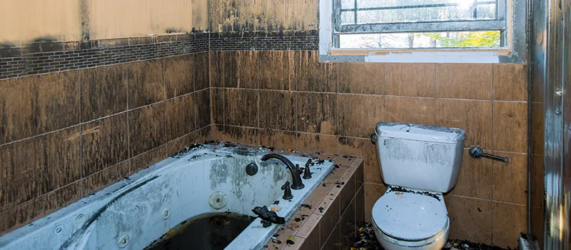 Residential Water Damage Restoration in Muskoka, ON