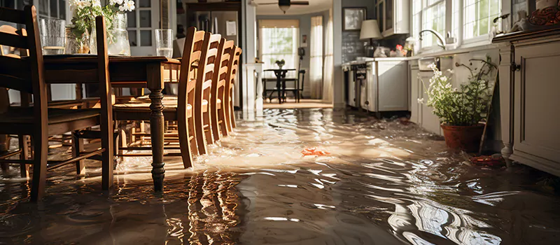 Flooded House Help Near Me in Muskoka, Ontario