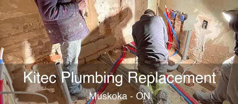  Kitec Plumbing Replacement Muskoka - ON