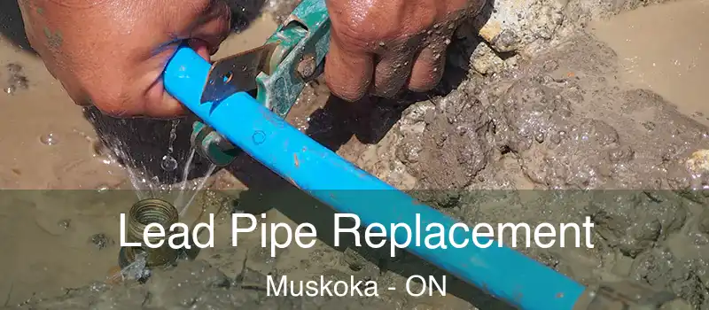  Lead Pipe Replacement Muskoka - ON