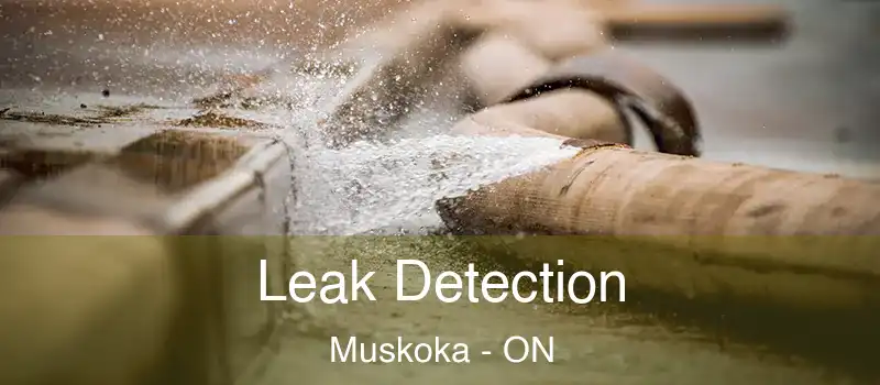  Leak Detection Muskoka - ON