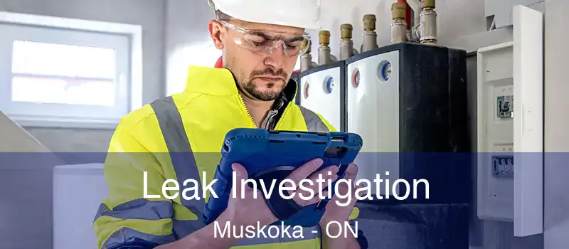  Leak Investigation Muskoka - ON