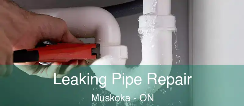  Leaking Pipe Repair Muskoka - ON