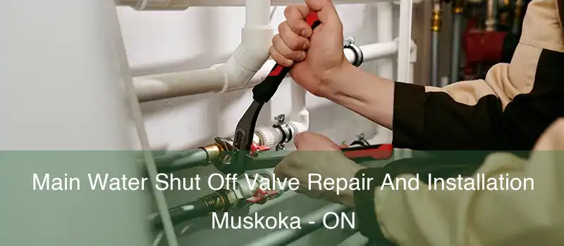  Main Water Shut Off Valve Repair And Installation Muskoka - ON