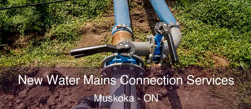  New Water Mains Connection Services Muskoka - ON