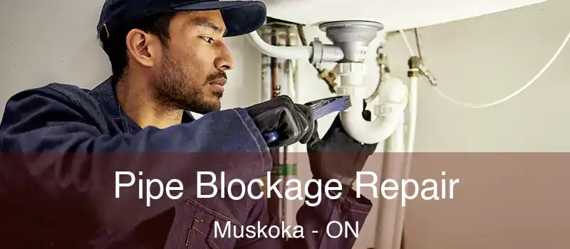  Pipe Blockage Repair Muskoka - ON