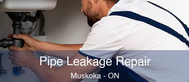  Pipe Leakage Repair Muskoka - ON