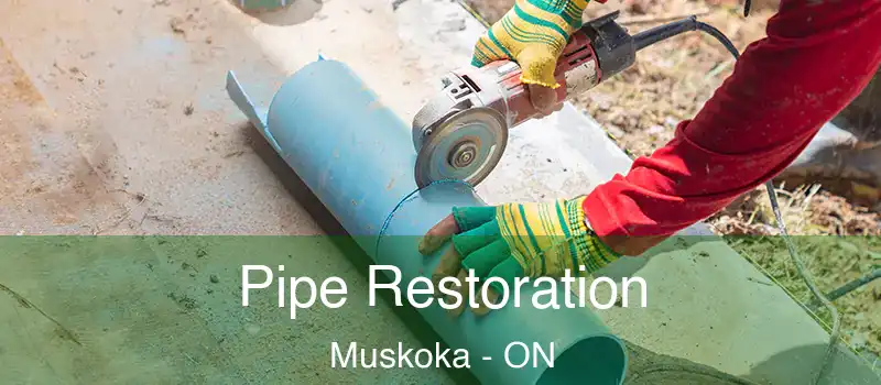  Pipe Restoration Muskoka - ON