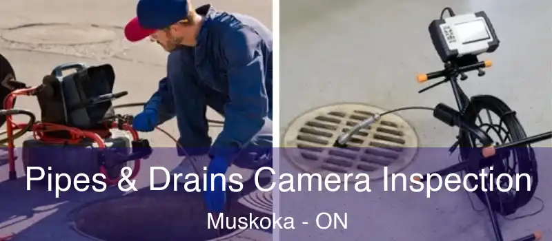  Pipes & Drains Camera Inspection Muskoka - ON
