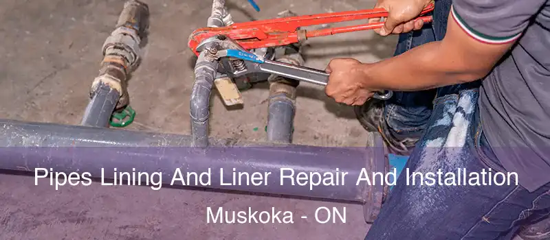  Pipes Lining And Liner Repair And Installation Muskoka - ON