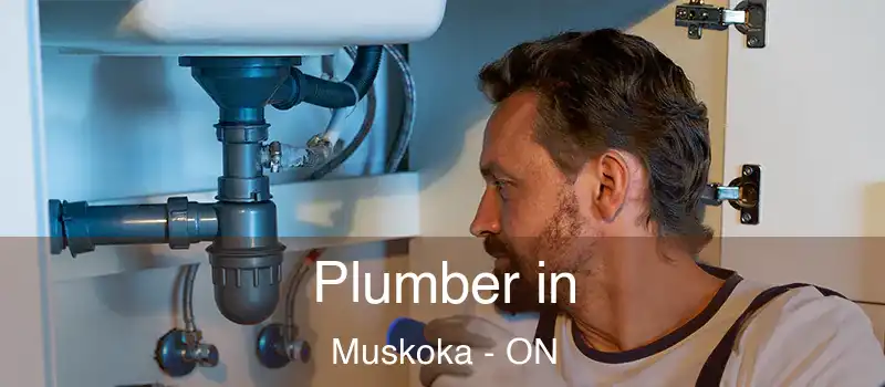  Plumber in Muskoka - ON