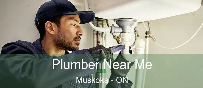  Plumber Near Me Muskoka - ON