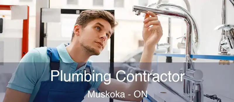  Plumbing Contractor Muskoka - ON