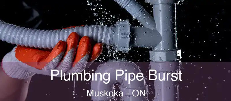  Plumbing Pipe Burst Muskoka - ON
