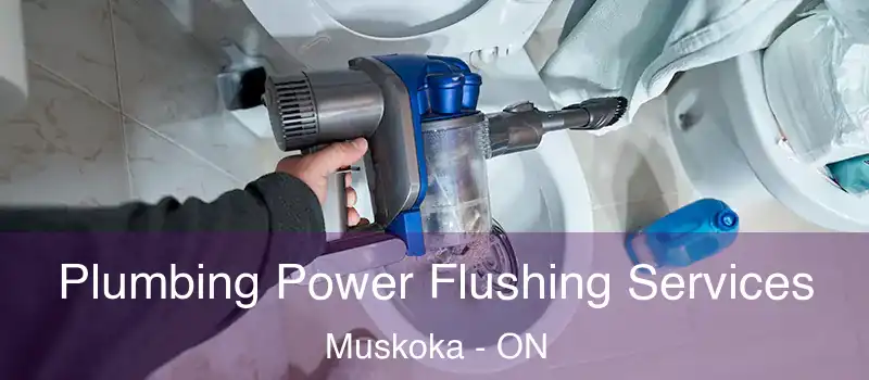  Plumbing Power Flushing Services Muskoka - ON