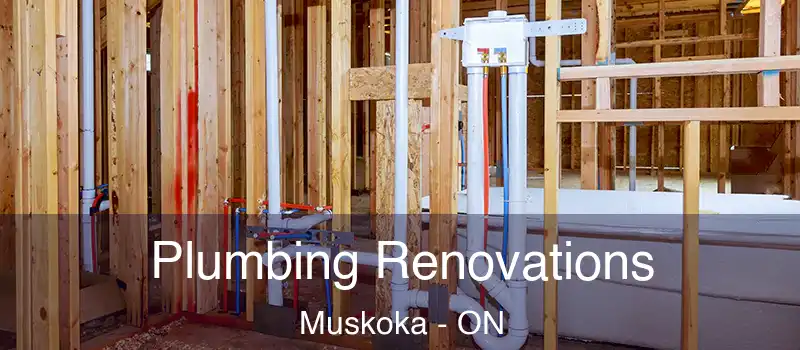  Plumbing Renovations Muskoka - ON