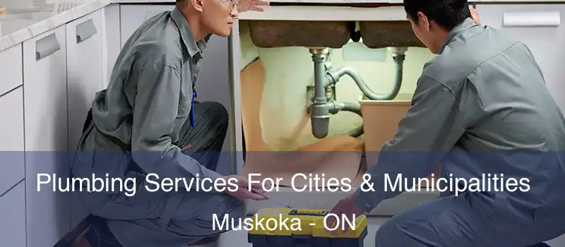  Plumbing Services For Cities & Municipalities Muskoka - ON