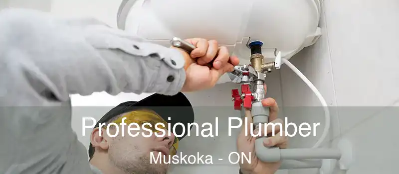  Professional Plumber Muskoka - ON