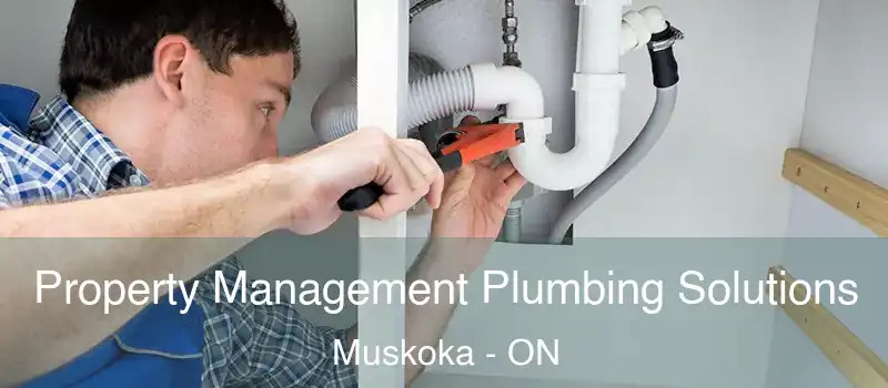  Property Management Plumbing Solutions Muskoka - ON