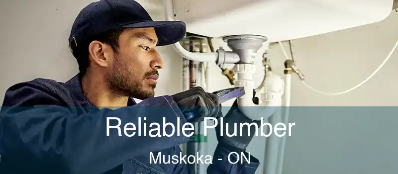  Reliable Plumber Muskoka - ON