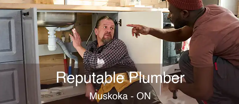  Reputable Plumber Muskoka - ON