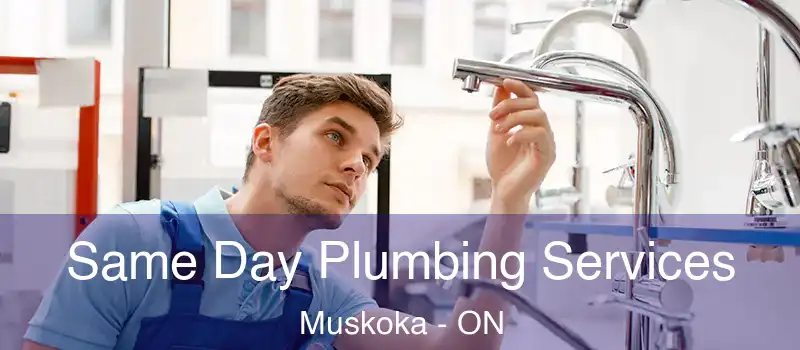  Same Day Plumbing Services Muskoka - ON