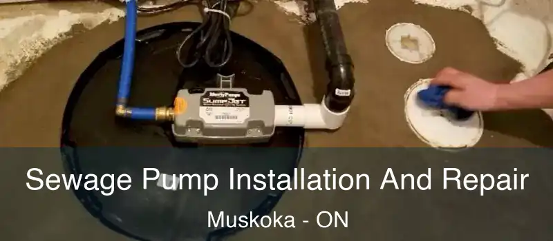  Sewage Pump Installation And Repair Muskoka - ON